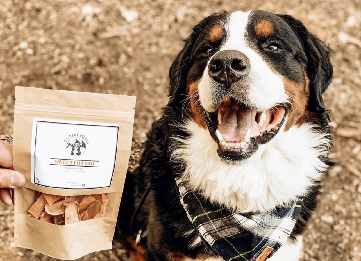 national-pet-week-big-dawg-treats